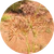 100% Cyperus Rotundus